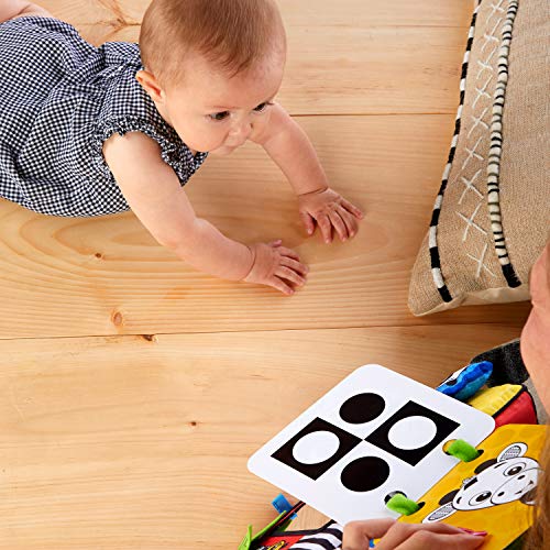 Baby Einstein Activity Mirror with Cards Baby Einstein Activity Mirror with Cards